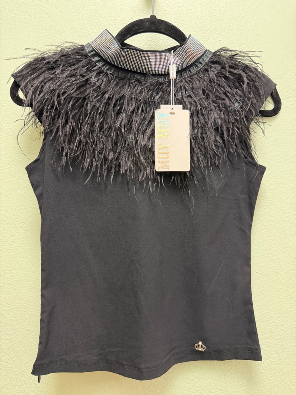 Sleeveless Black Feather-Trim Top with Embellished Collar